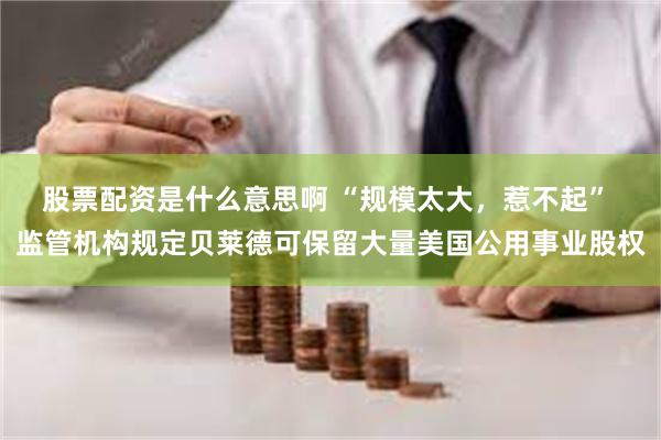 股票配资是什么意思啊 “规模太大，惹不起” 监管机构规定贝莱德可保留大量美国公用事业股权