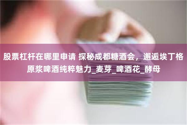 股票杠杆在哪里申请 探秘成都糖酒会，邂逅埃丁格原浆啤酒纯粹魅力_麦芽_啤酒花_酵母