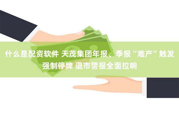 什么是配资软件 天茂集团年报、季报“难产”触发强制停牌 退市警报全面拉响