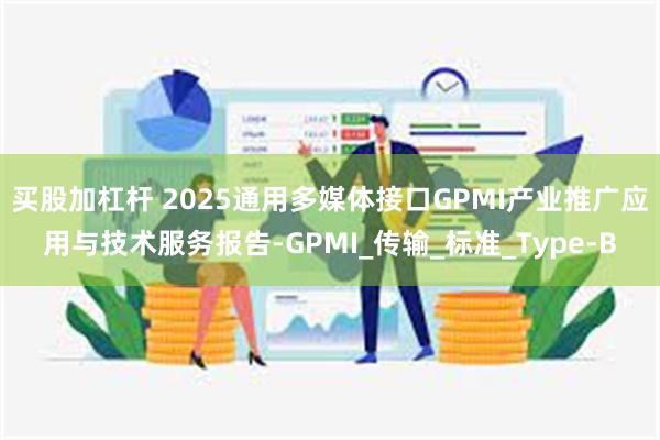 买股加杠杆 2025通用多媒体接口GPMI产业推广应用与技术服务报告-GPMI_传输_标准_Type-B
