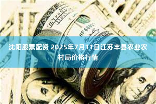 沈阳股票配资 2025年7月11日江苏丰县农业农村局价格行情