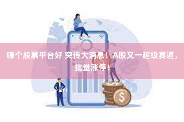 哪个股票平台好 突传大消息！A股又一超级赛道，批量涨停！