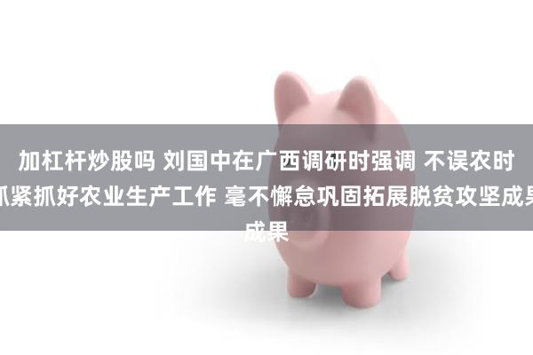 加杠杆炒股吗 刘国中在广西调研时强调 不误农时抓紧抓好农业生产工作 毫不懈怠巩固拓展脱贫攻坚成果