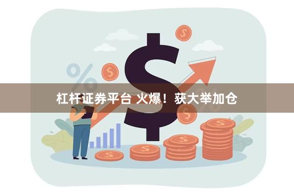 杠杆证券平台 火爆！获大举加仓