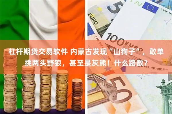 杠杆期货交易软件 内蒙古发现“山狗子”，敢单挑两头野狼，甚至是灰熊！什么路数？